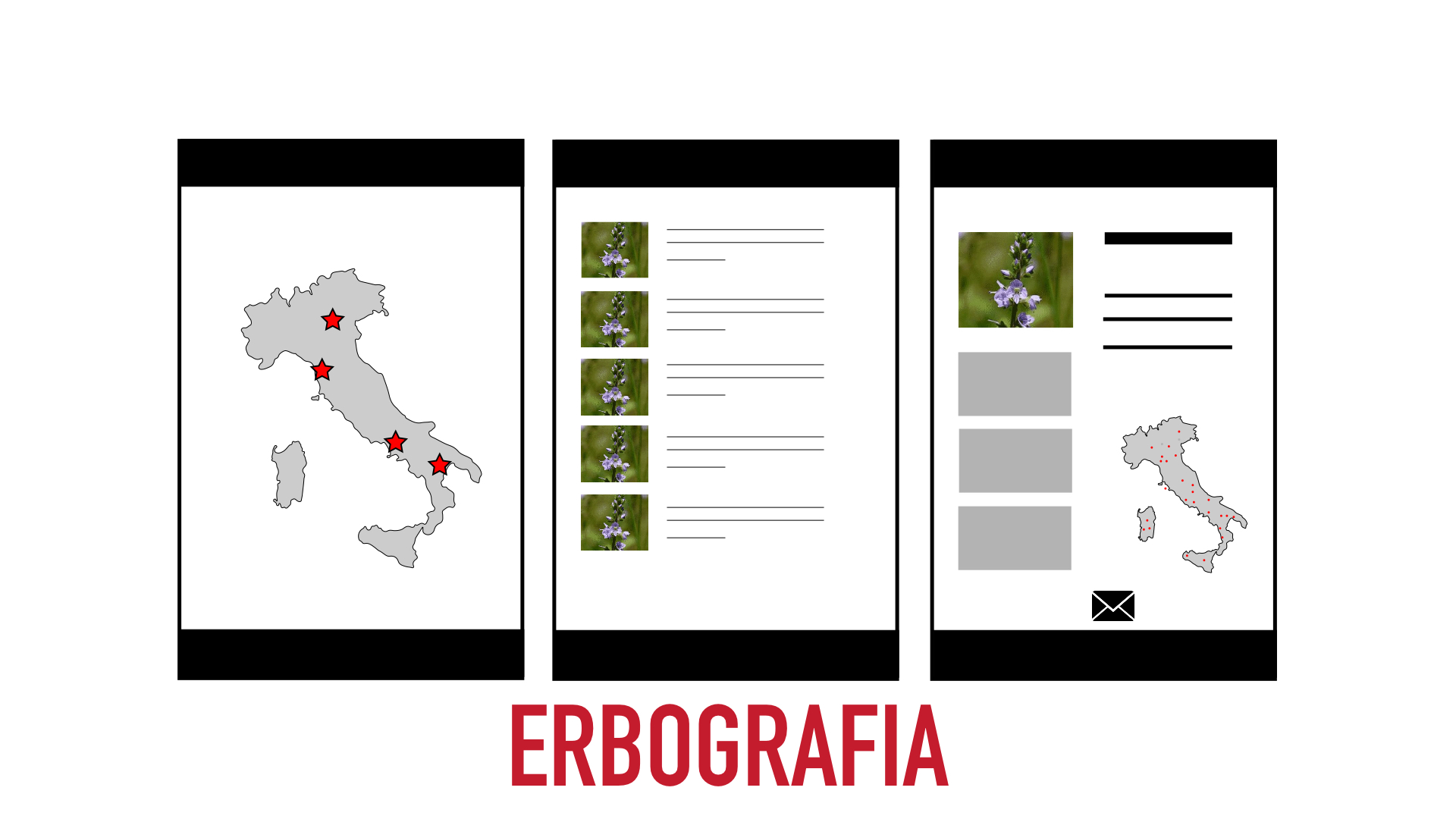 Erbografia