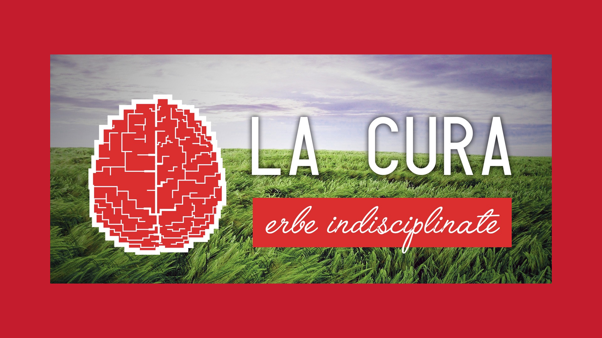 Erbe Indisciplinate, inizio