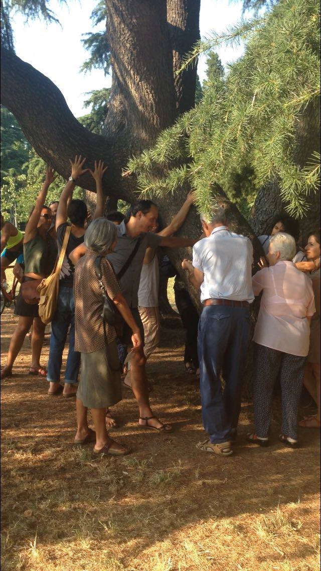 La Cura Festival 2016